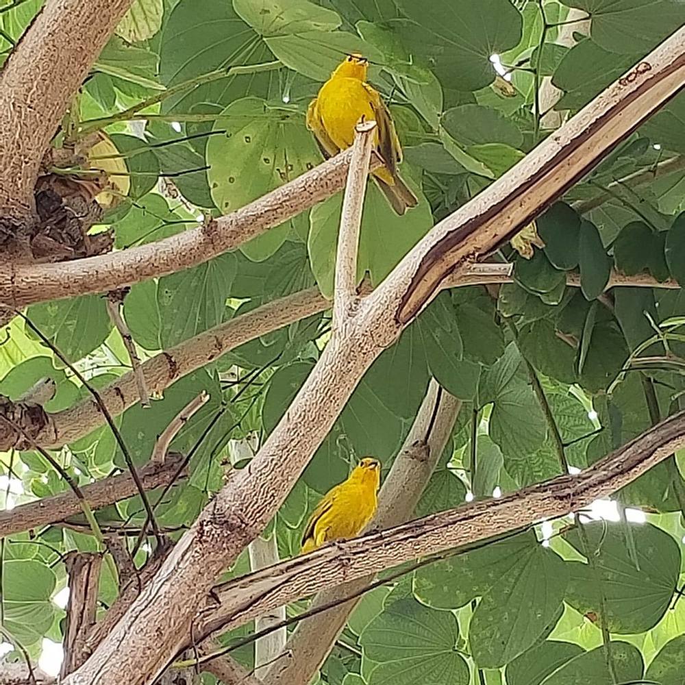 Meet your Posher, Maarten